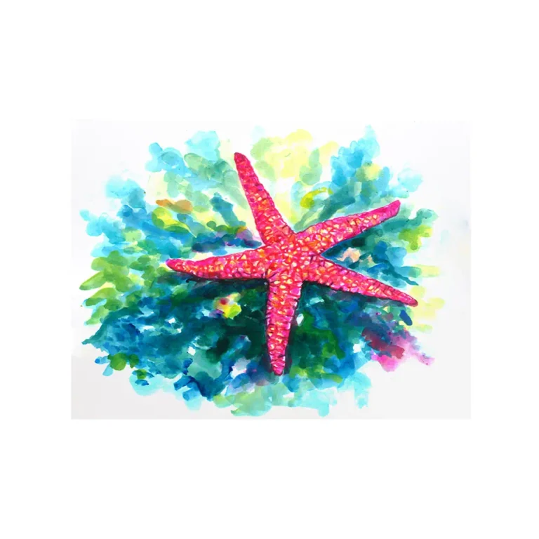 Litografia con disegno ad acquerello di una stella marina