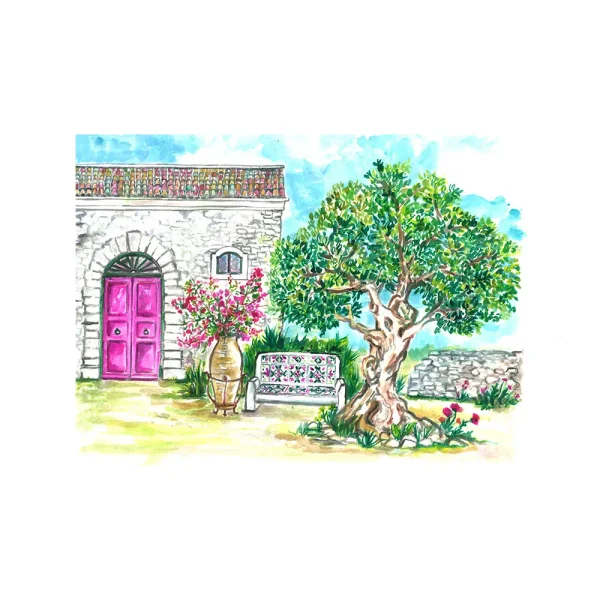 Litografia con disegno ad acquerello di un ulivo secolare