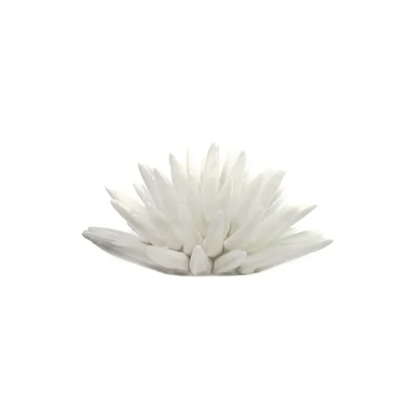 Riccio medio bianco in Ceramica di Caltagirone