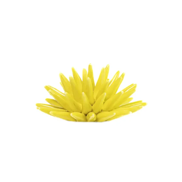 Riccio medio giallo in Ceramica di Caltagirone