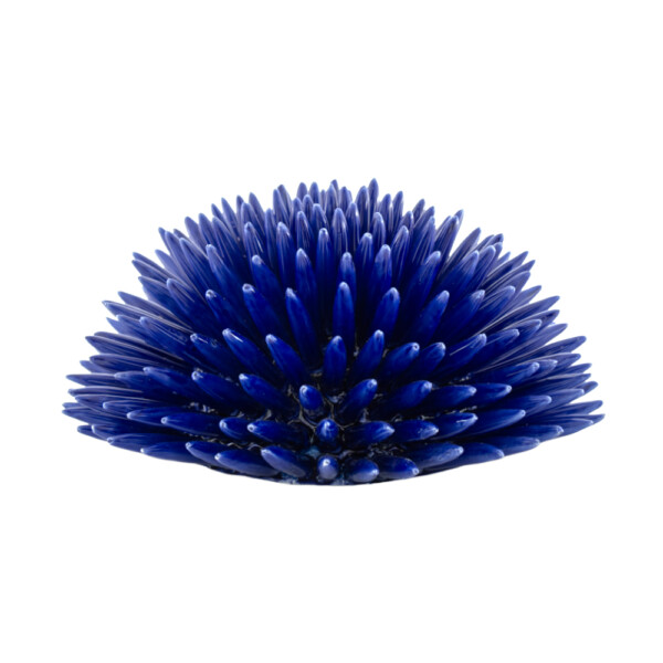 Riccio Blu Cobalto L