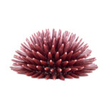 Riccio Rosso Borgogna L in Ceramica