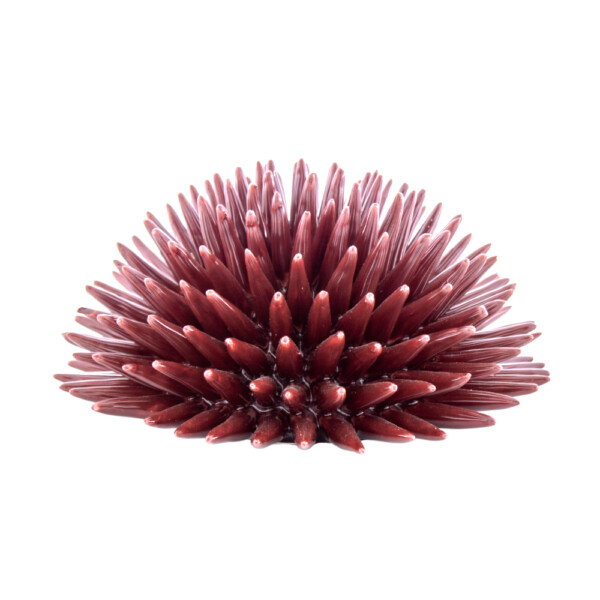 Riccio Rosso Borgogna L