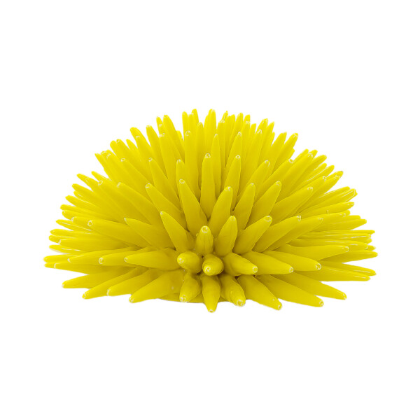Riccio Giallo Cadmio L