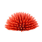 Riccio Rosso Corallo L in Ceramica