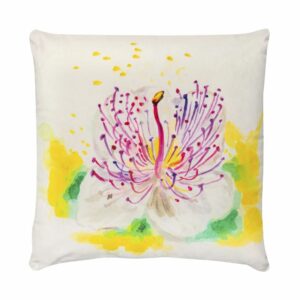 Cuscino in Velluto - Fiore di Cappero, Bianco