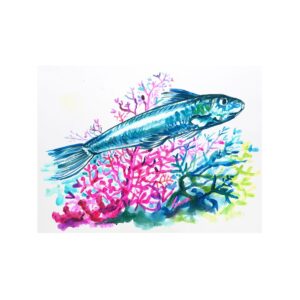 Litografia - Sardina Azzurra