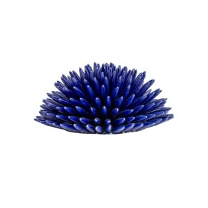 Riccio di Mare - L, Blu Cobalto