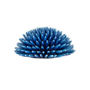 Riccio di Mare - L, Blu Lapis