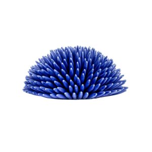 Riccio di Mare - L, Blu Royal