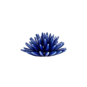 Riccio di Mare - M, Blu Cobalto