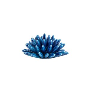 Riccio di Mare - M, Blu Lapis