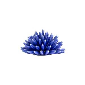 Riccio di Mare - M, Blu Royal