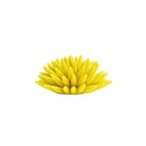 Riccio di Mare - M, Giallo Cadmio
