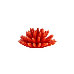 Riccio di Mare - M, Rosso Corallo