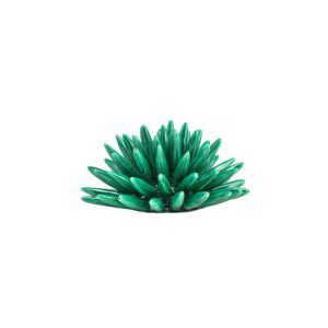 Riccio di Mare - M, Verde Siciliano