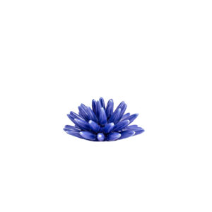 Riccio di Mare - S, Blu Royal