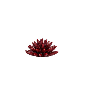 Riccio di Mare - S, Rosso Borgogna