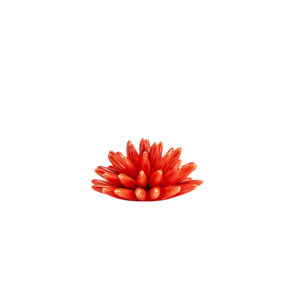 Riccio di Mare - S, Rosso Corallo